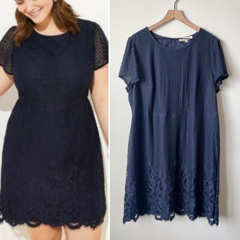 NWOT LOFT Plus Blue Lace Sheath Dress Size 20
